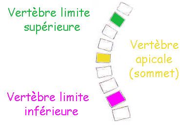Lgende de la colonne vertbrale